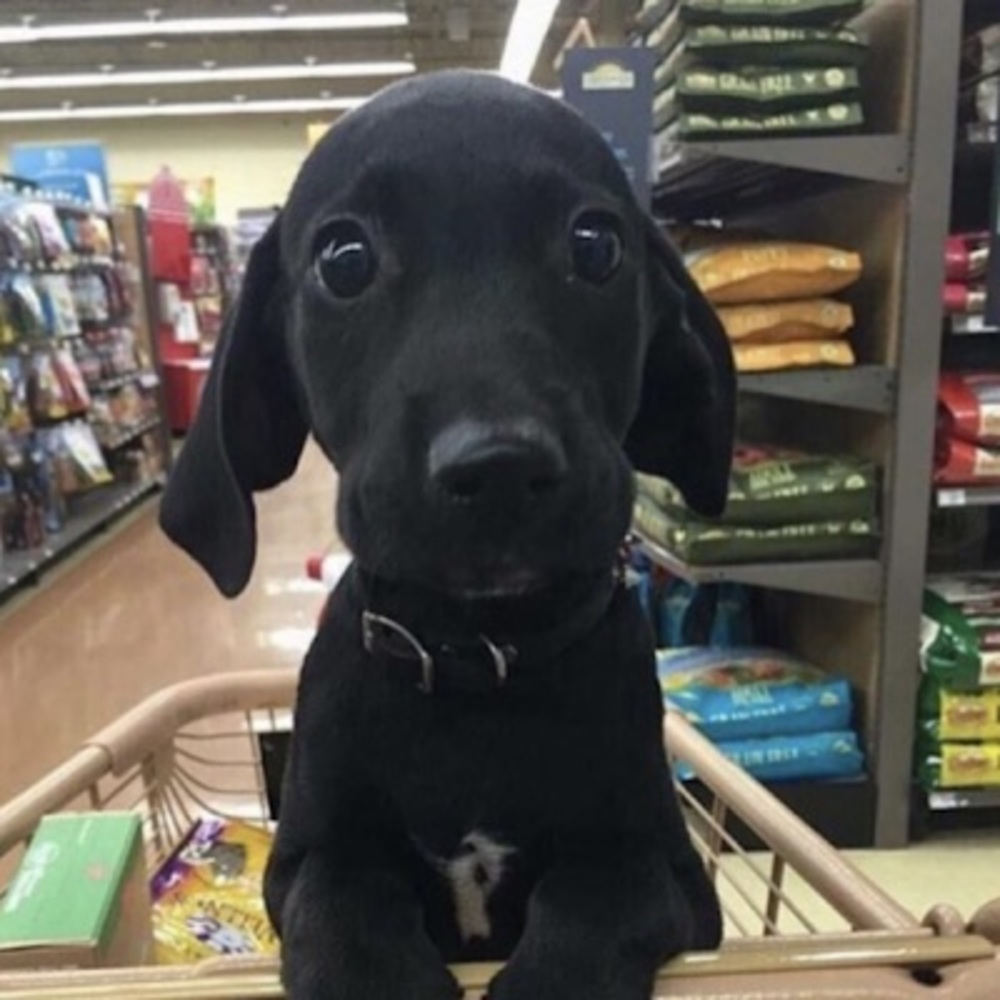 Meet your Posher, Valentina